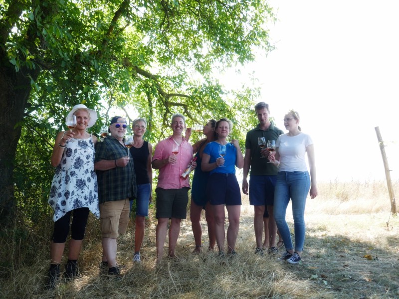 Walnussbaum am Weinberg - Schattiger Platz fürs Gruppenfoto Weinbaden