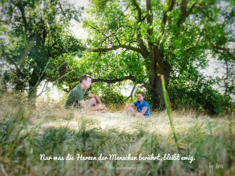 Natur Terpene genießen