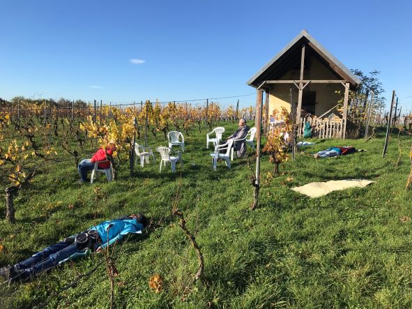 Achtsamkeitsmeditation im kosmobiologischen Weinberg