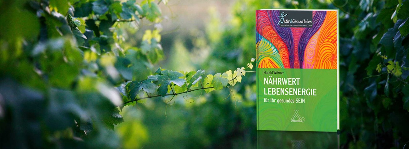 Buch Nährwert Lebensenergie