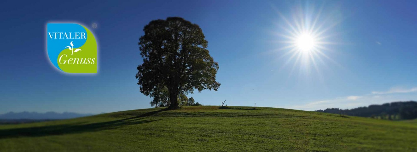 Vitaler Genuss Lebensenergie Genuss für Körper und Geist