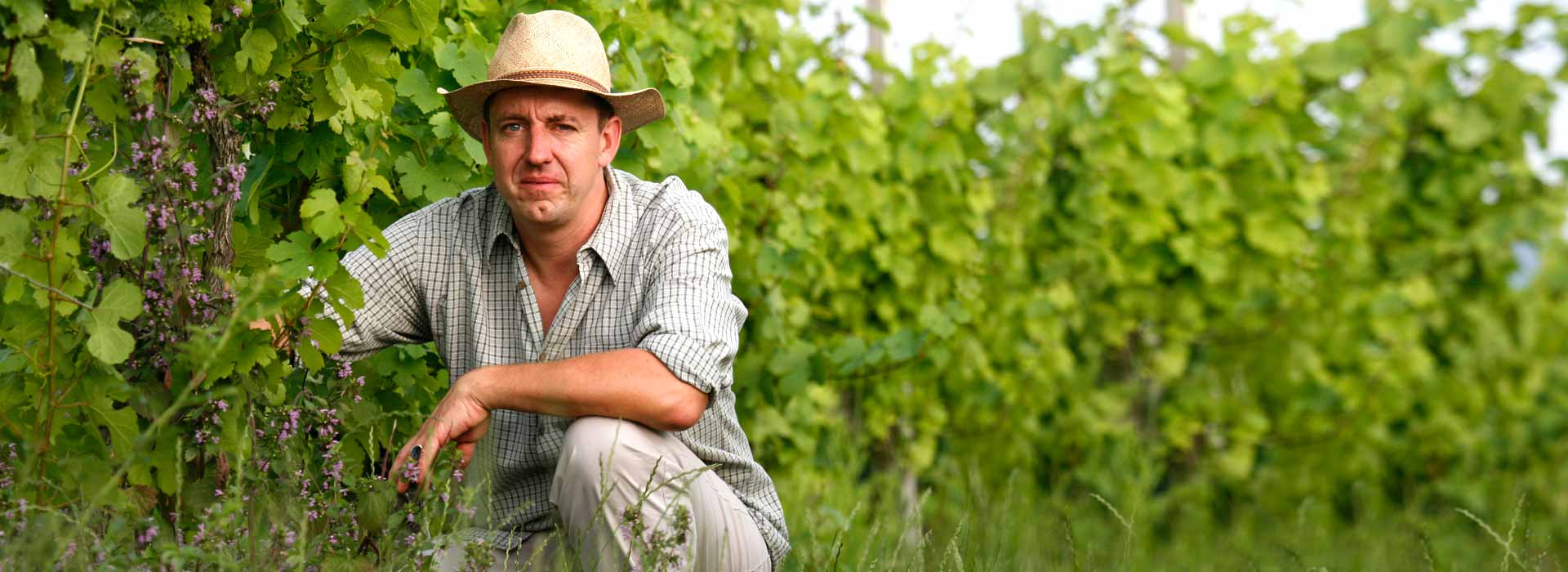 Harald Wörner Winzer Lebenslauf