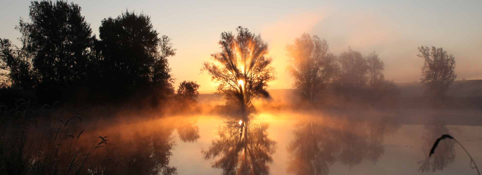 Achtsamkeitsübungen & Meditation Entspannung Chakren Wein