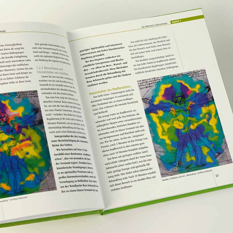 Das Buch Inhalt Närhwert Lebensenergie Ratgeber für ein gesundes Leben