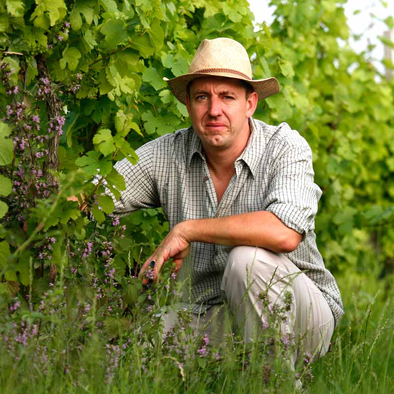 Harald Wörner Lebenslauf