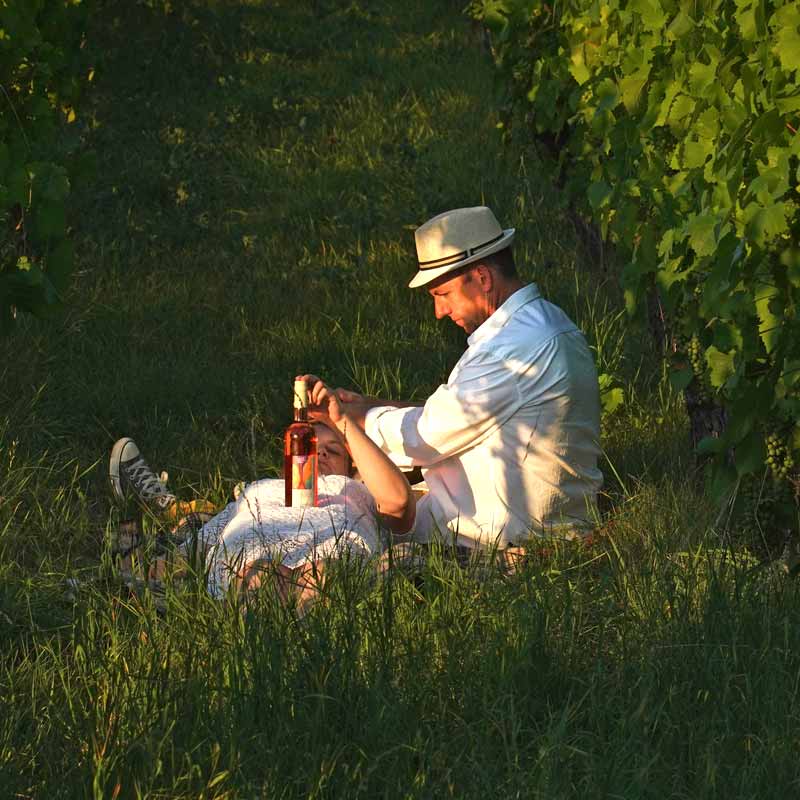 Harald Wörner vom Winzer zum Gesundheitscoach