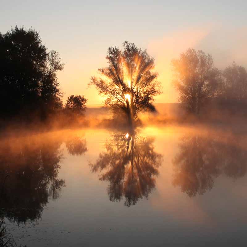 Achtsamkeit Empfehlungen Harald Wörner