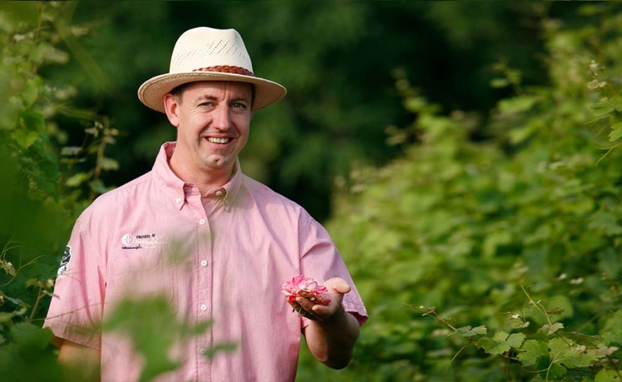 Events mit Harald Wörner